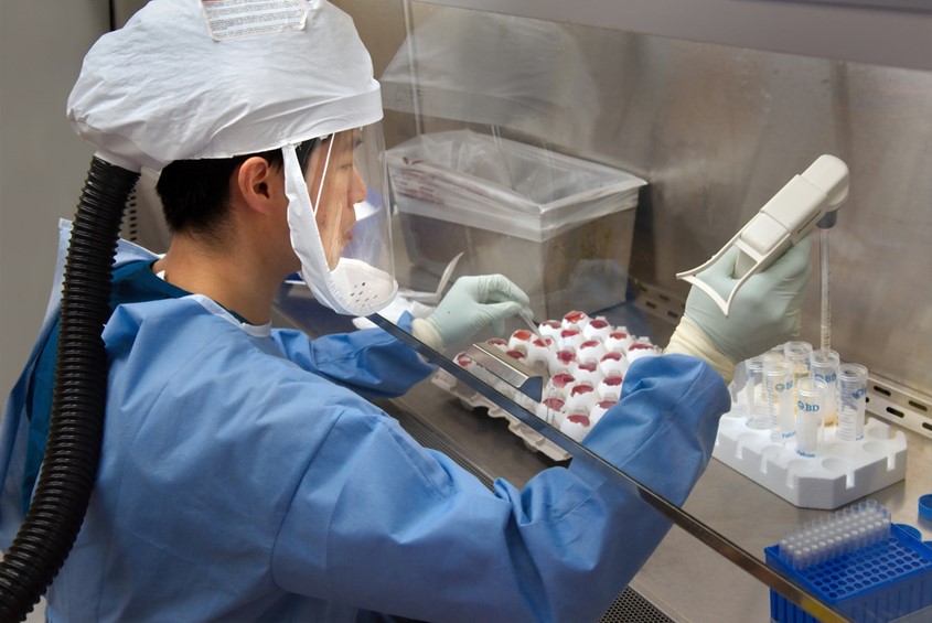 Coronavirus: Advice for employers and employees