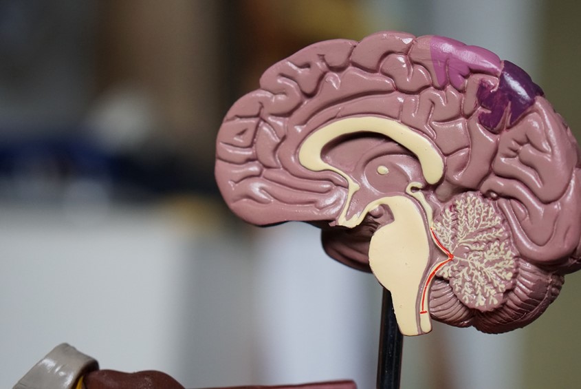 World Alzheimer’s Month
