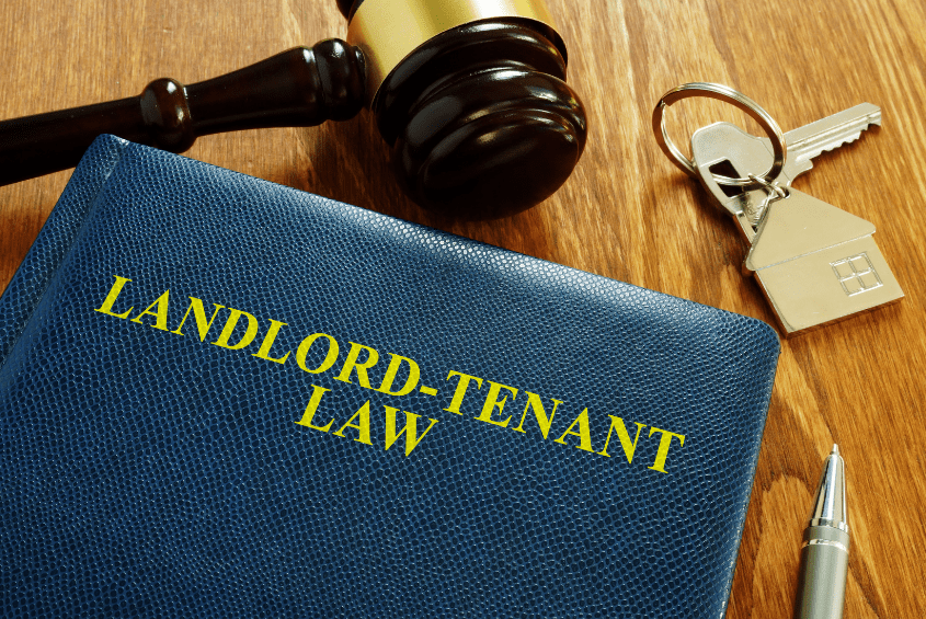 What must a landlord do to check that a tenant has a right to rent?